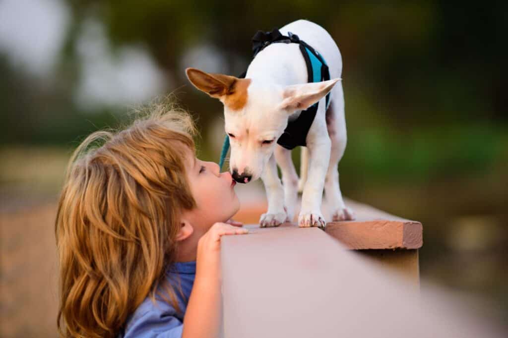 A kid kissing his pet dog